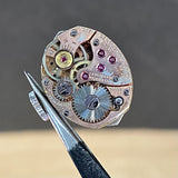 BENRUS Ladies Watch 17 Jewels Model DZ2F Swiss Made Vintage Wristwatch - In BOX!
