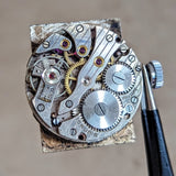 1940s DELFIN Tank Wristwatch 15 Rubies Swiss Made Vintage Watch