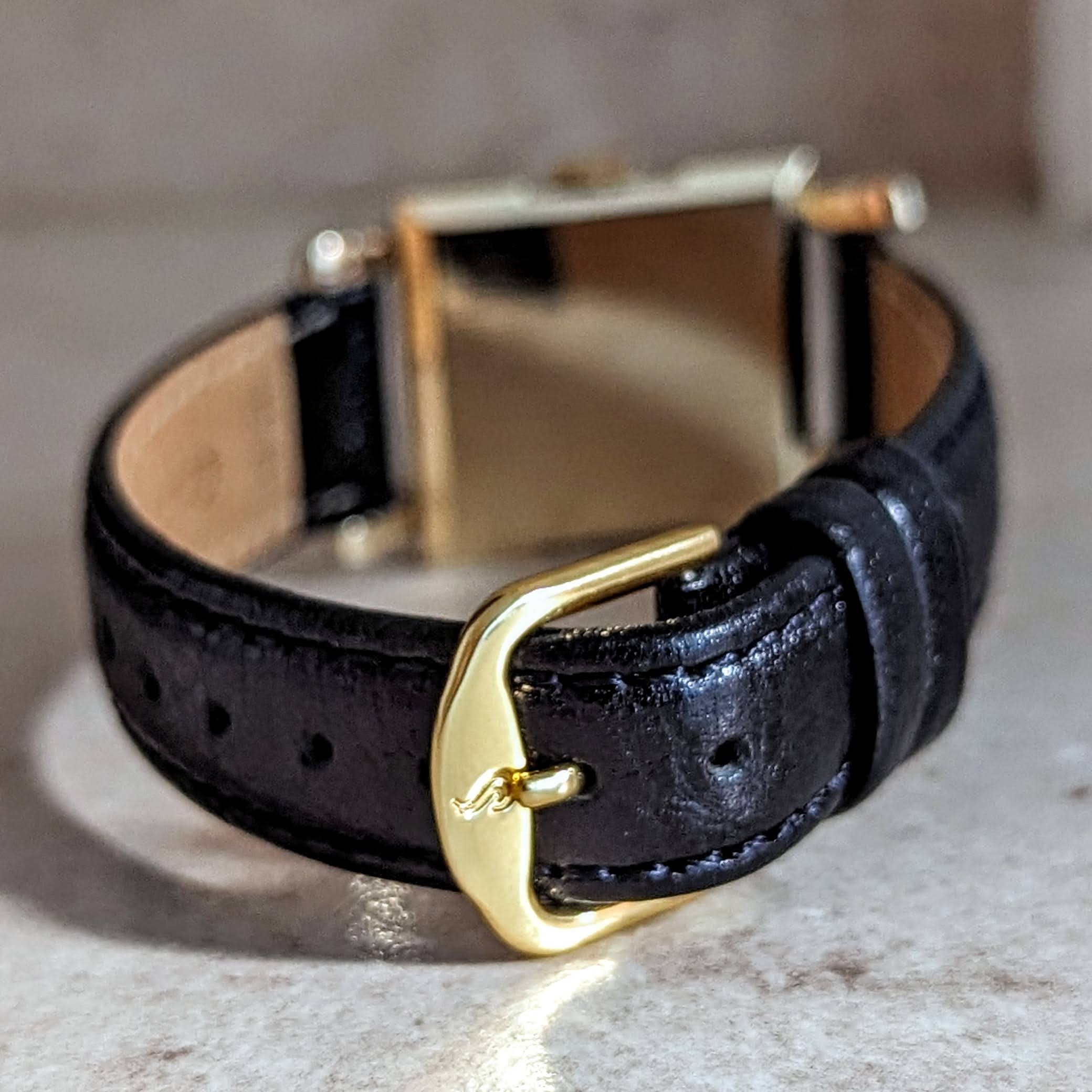 PAUL BREGUETTE Incabloc Watch 17 Jewels Swiss Made Vintage Wristwatch