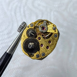 Vintage Ladies ELGIN Watch - Textured Dial & Fancy Lugs, Original Speidel Bracelet