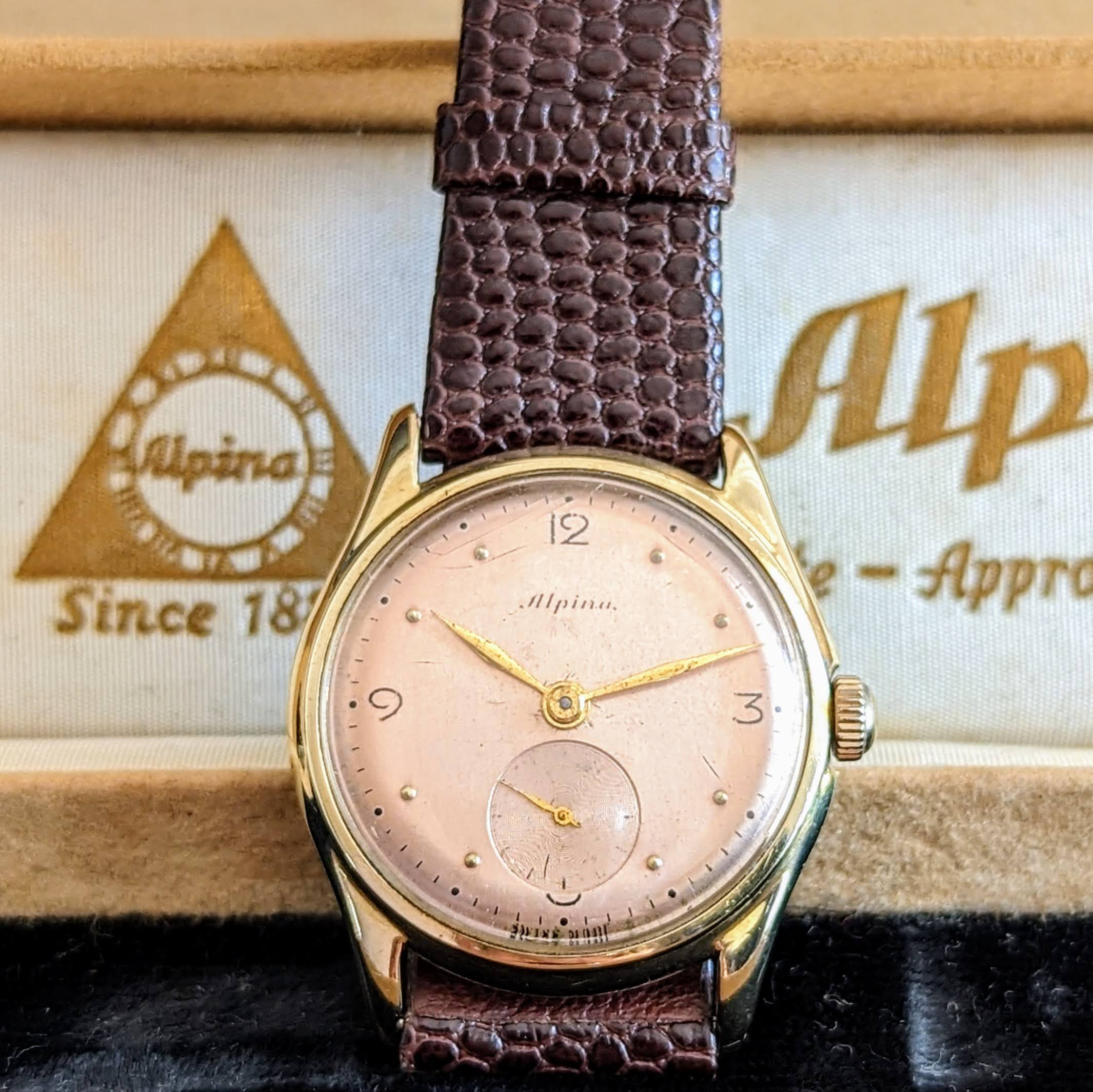 Alpina watch deals bands